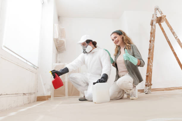 Best Biohazard Mold Removal  in Weber City, VA